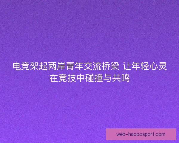 电竞架起两岸青年交流桥梁 让年轻心灵在竞技中碰撞与共鸣