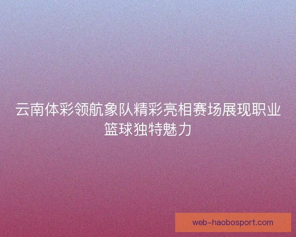 云南体彩领航象队精彩亮相赛场展现职业篮球独特魅力